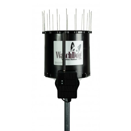Cellular rain station - solar-powered LTE-M/NB-IoT rainfall monitoring: WatchDog 4105