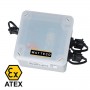 ATEX Zone 1 LoRaWAN® pulse and analogue input sensor : TORAN’O
