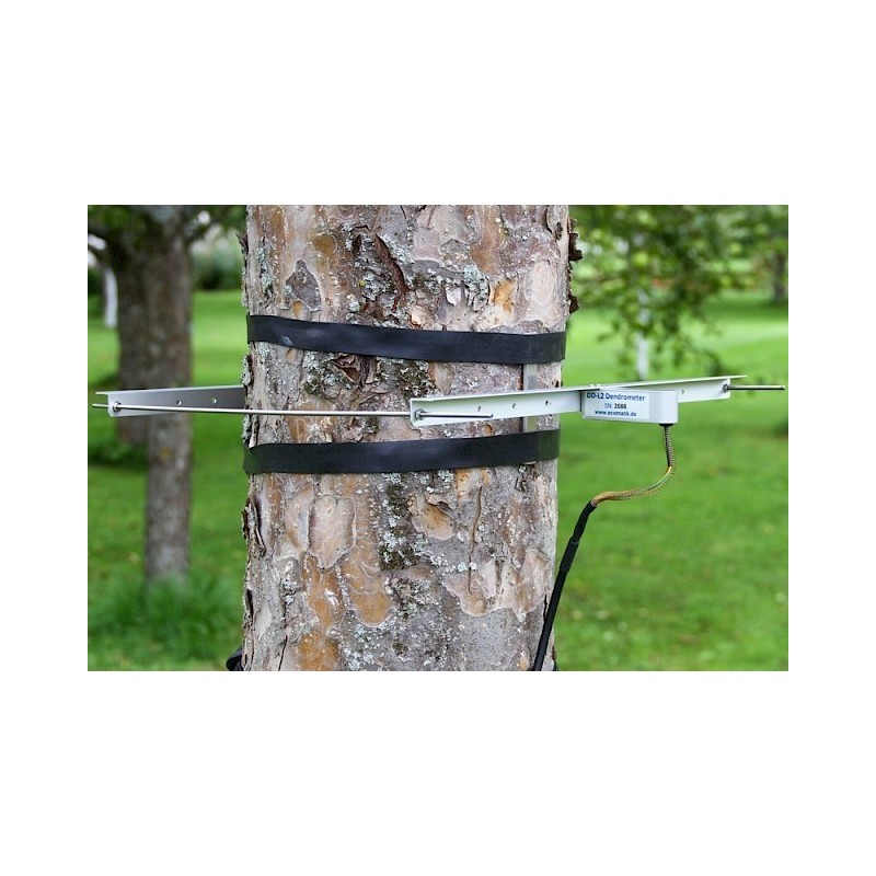 Dendrometer by Ecomatik | Ecomatik