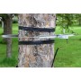 Dendrometer by Ecomatik