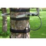 Diameter Dendrometer Large : DD-L