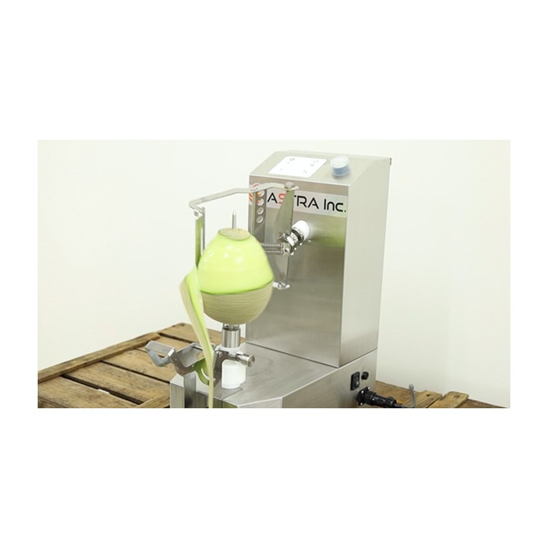 Automatic Pineapple, Mango and Melon Peeling Machine : KA-750PM | Astra ...