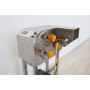Automatic Fruit Peeling Machine : FAP-1001