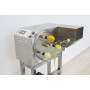 Automatic Fruit Peeling Machine : FAP-1001