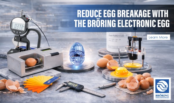 Reduce Egg Breakage with the Bröring Electronic Egg